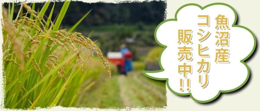 越後湯沢  なかすみ旅館 湯沢市 エクステリア 写真